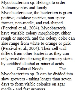 Living vs. Non-Living Microbes